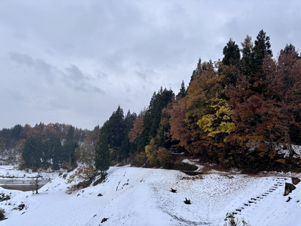 紅葉と雪