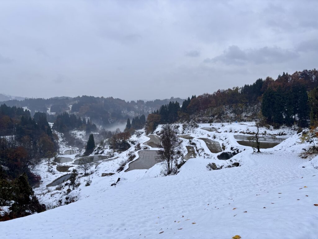 冬の蒲生の棚田