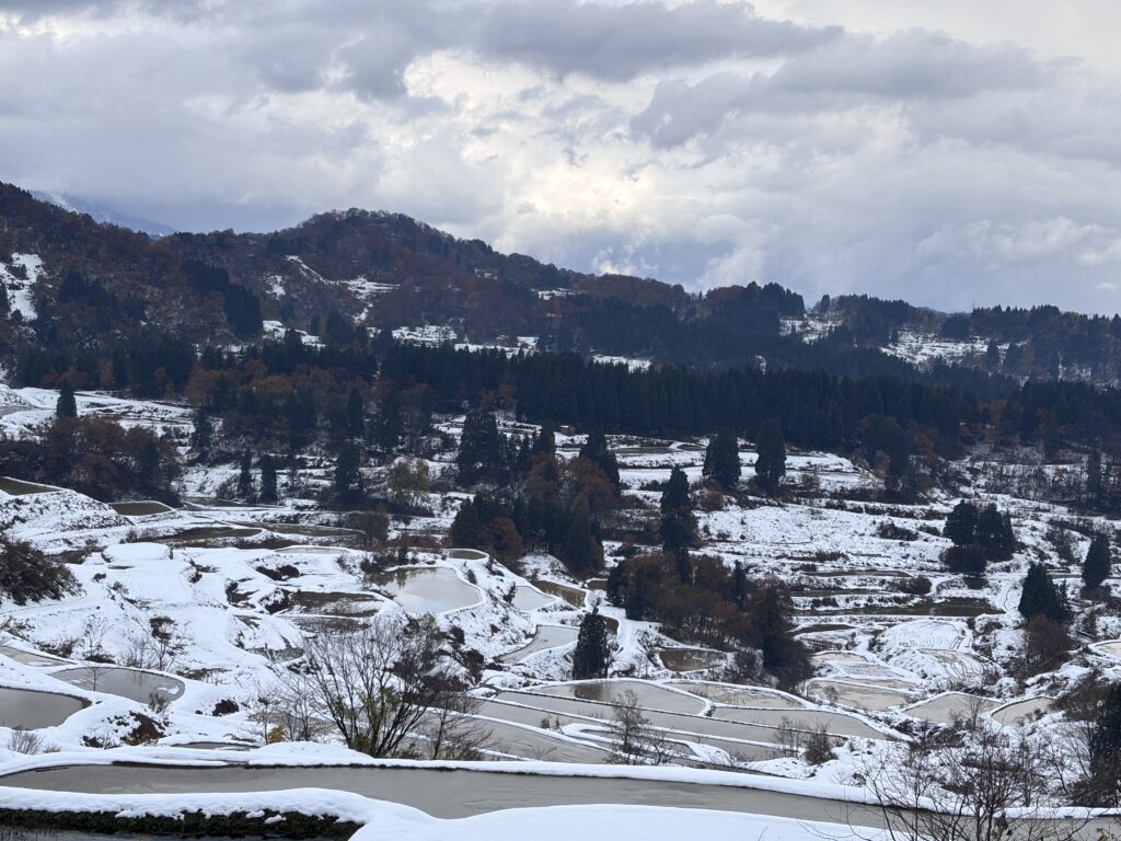 冬の星峠の棚田1