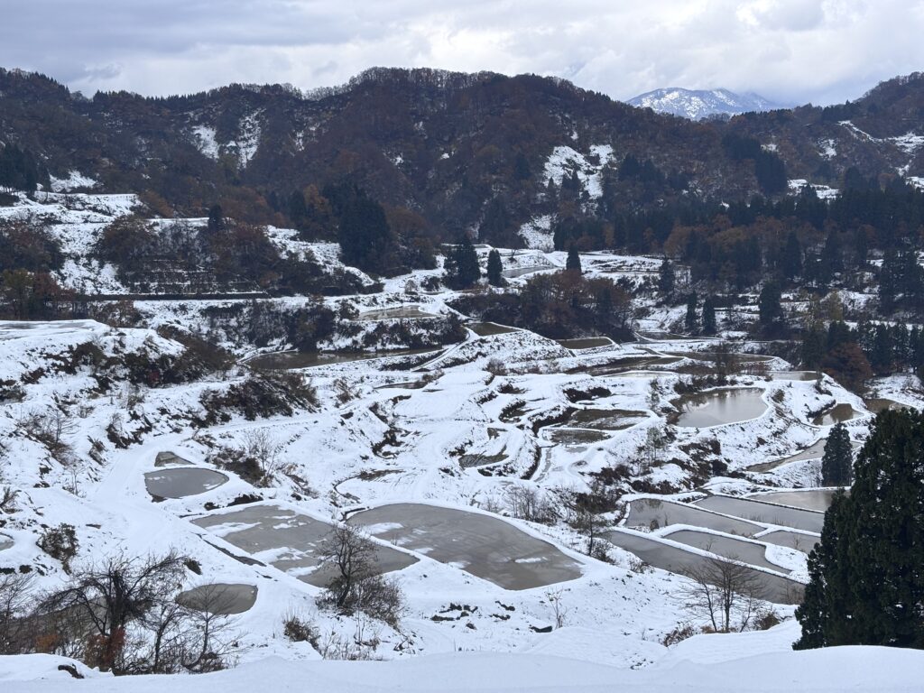 冬の星峠の棚田2