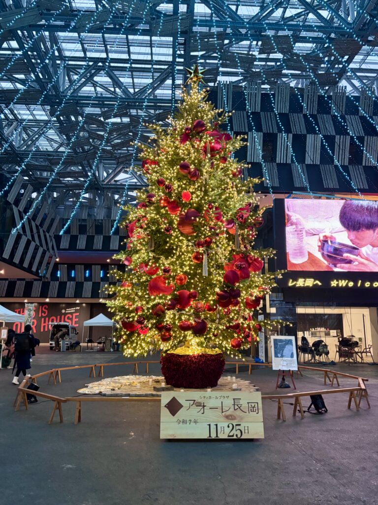 クリスマスツリー