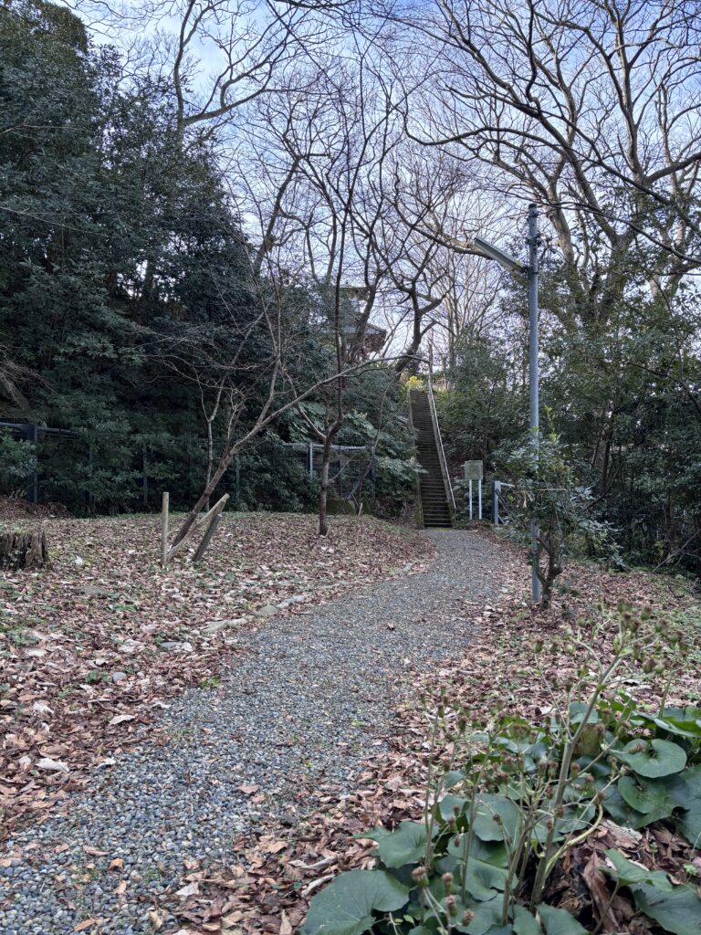 白山媛神社までの道