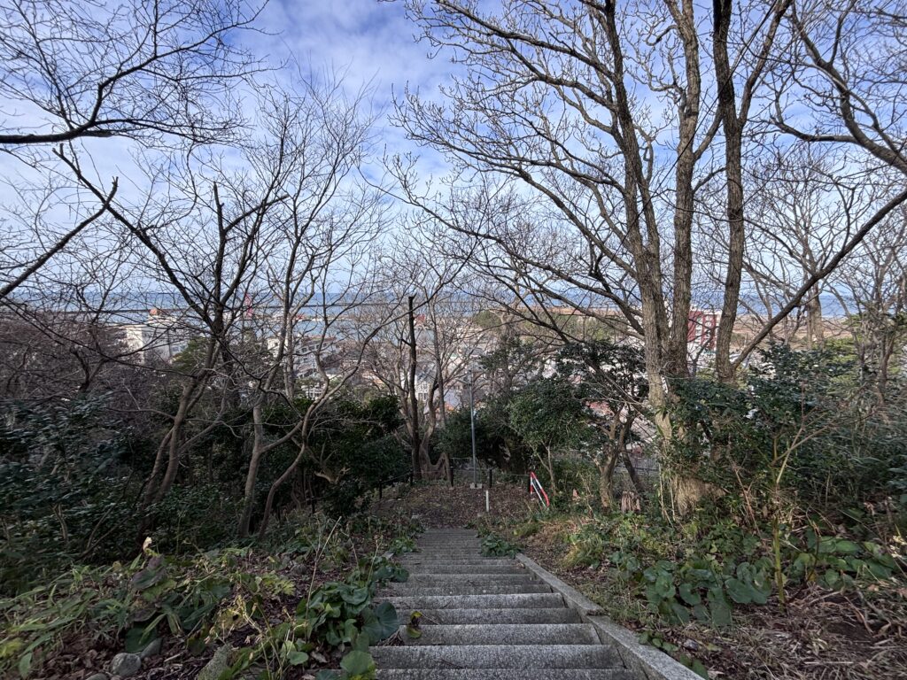 展望広場までの道