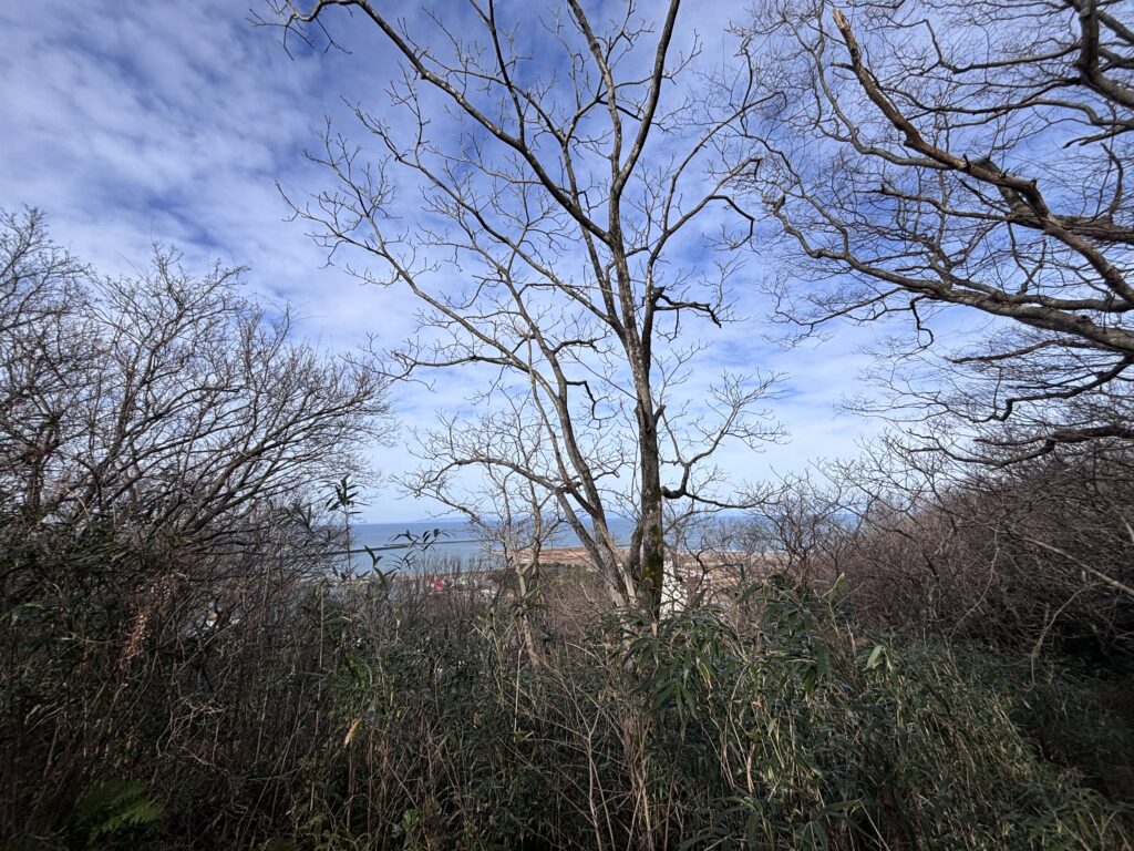 展望広場から見える景色