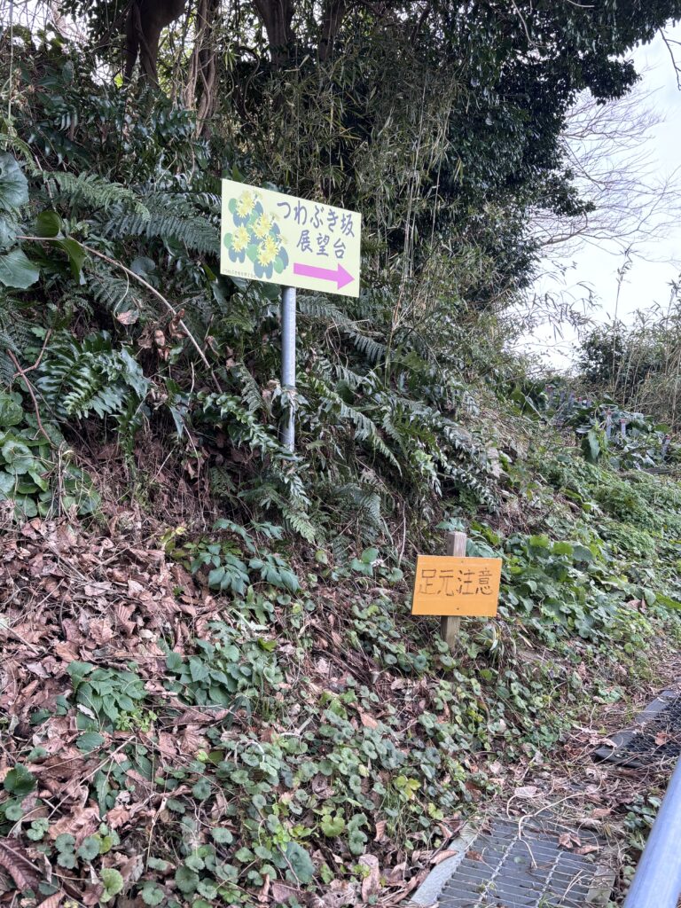 つわぶき坂展望台への道１