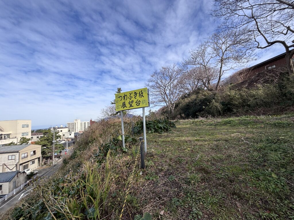 つわぶき坂展望台１