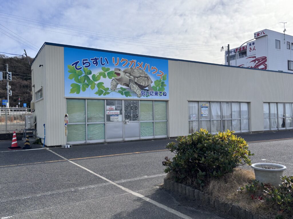 てらすいリクガメハウス