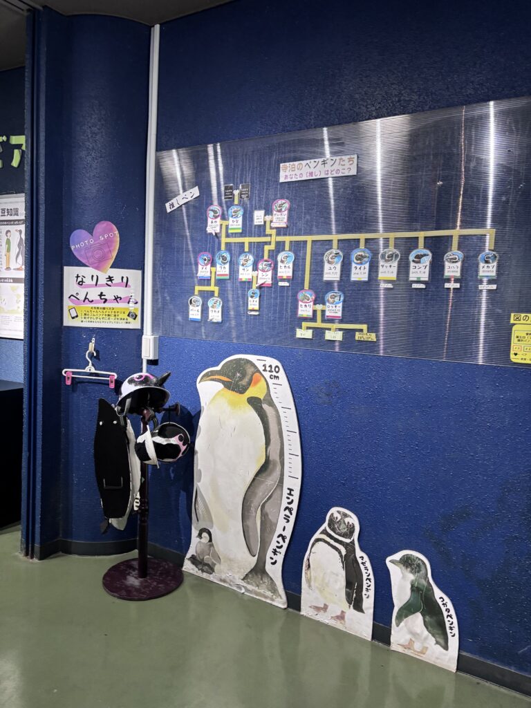 フォトスポット1