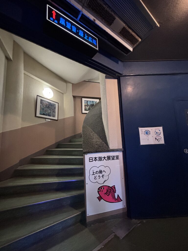 日本海大展望室への階段