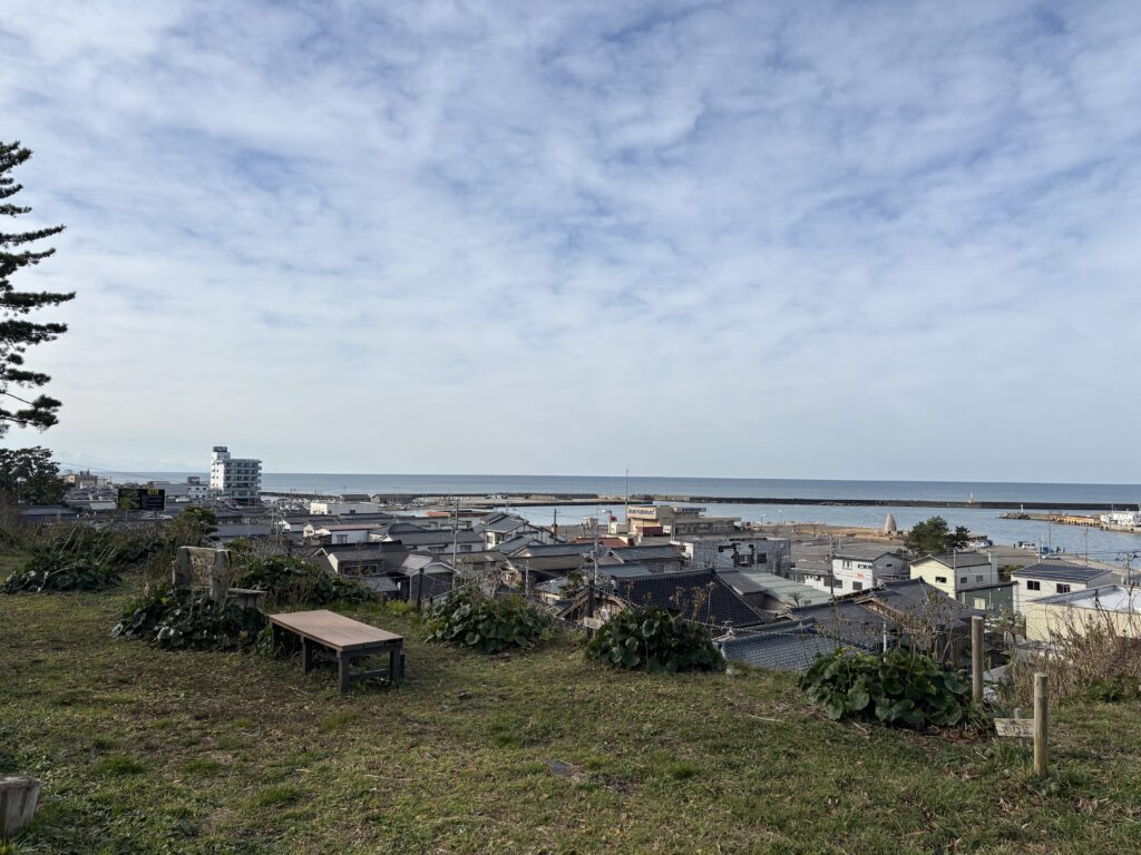 つわぶき坂展望台からの景色２