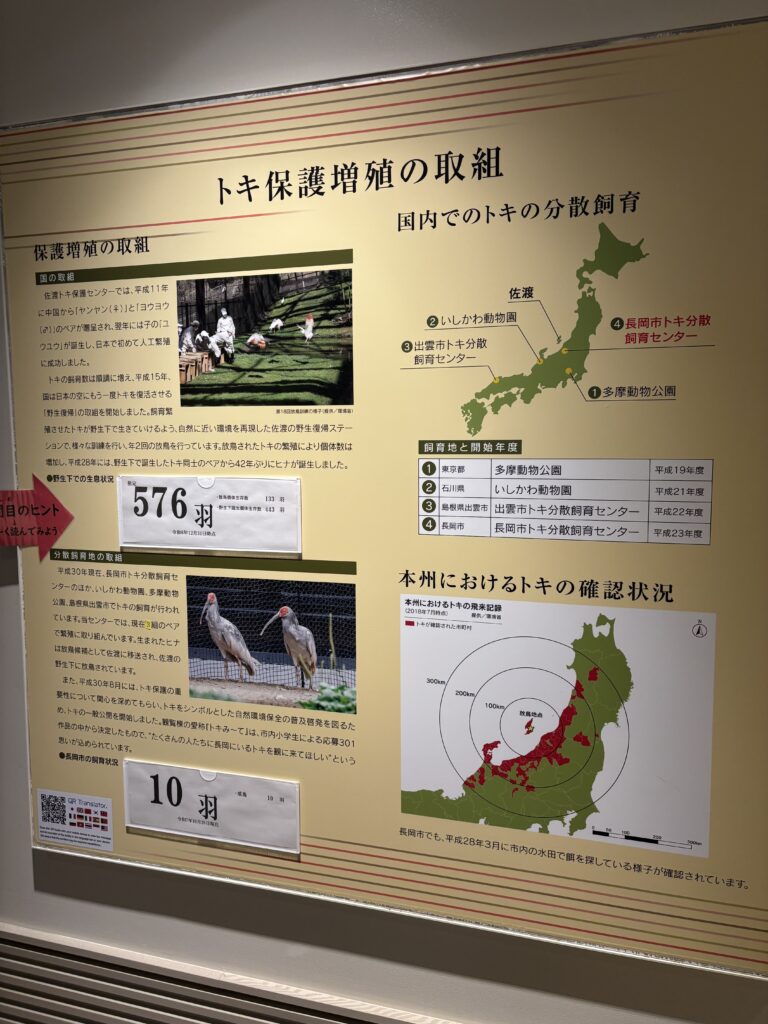 トキと自然の学習館の資料