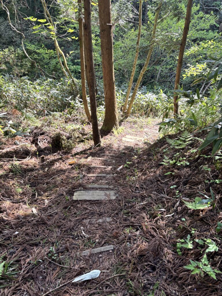 入口付近の歩道