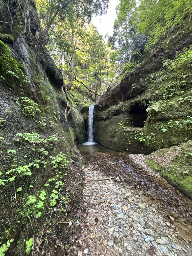 桃川のおたきさま１