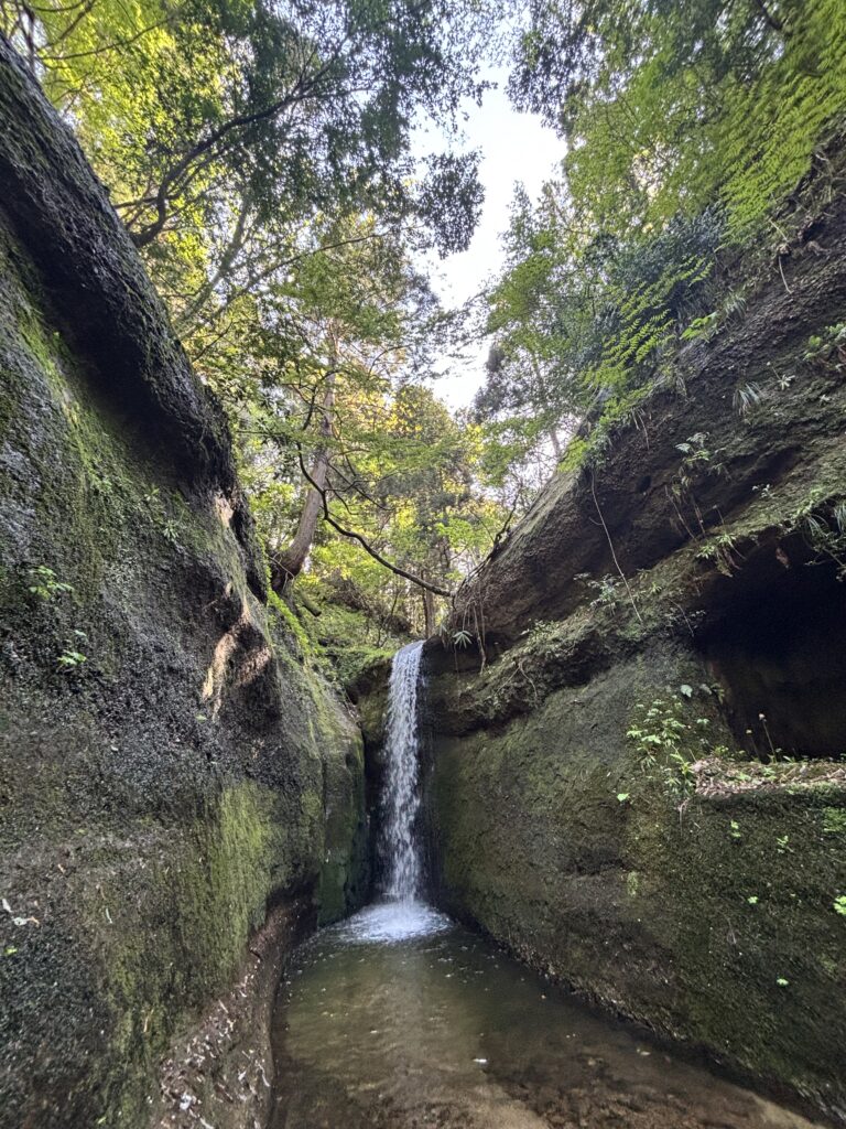 桃川のおたきさま２
