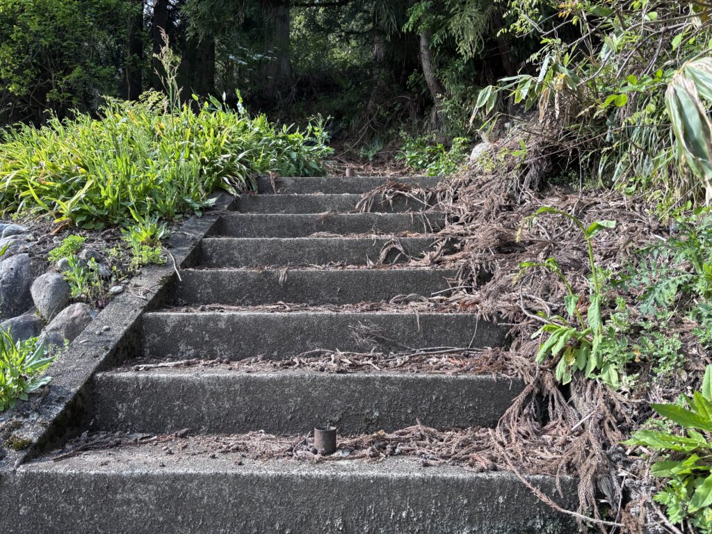 遊歩道１
