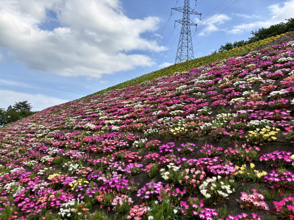 景色２