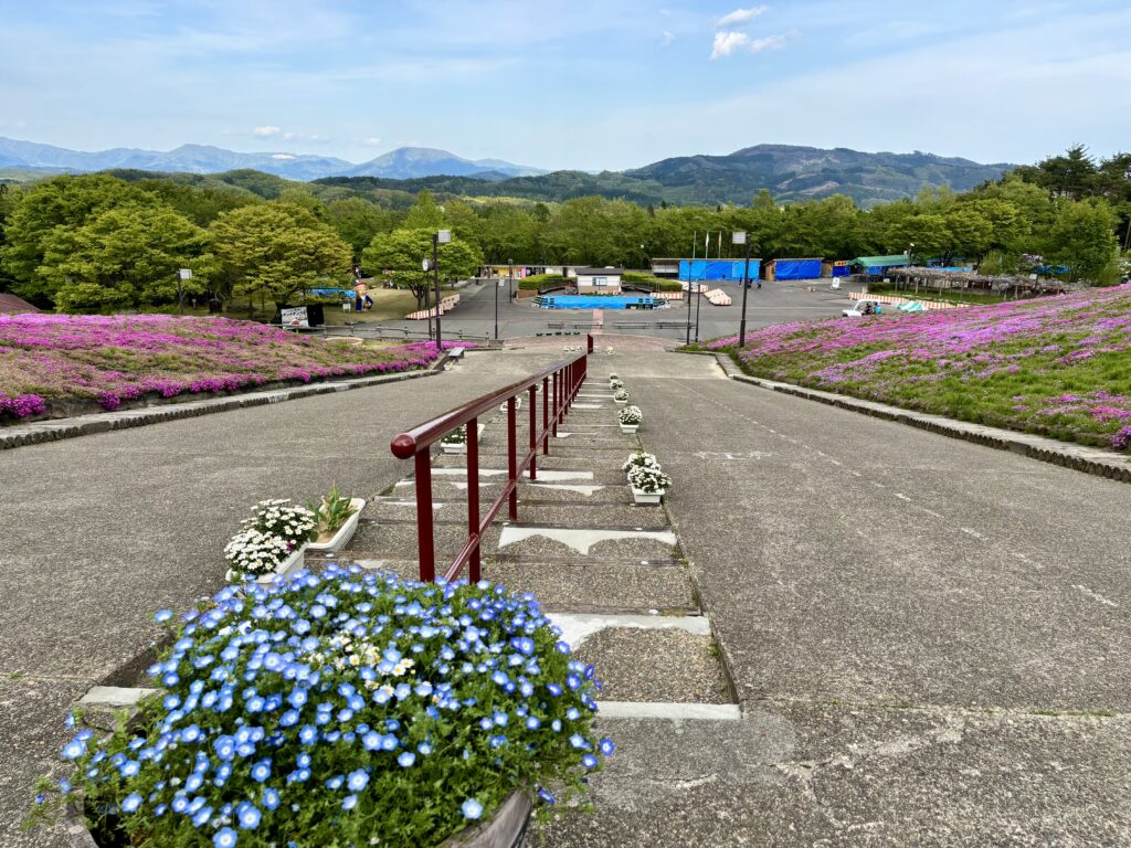 上の方から見た坂道