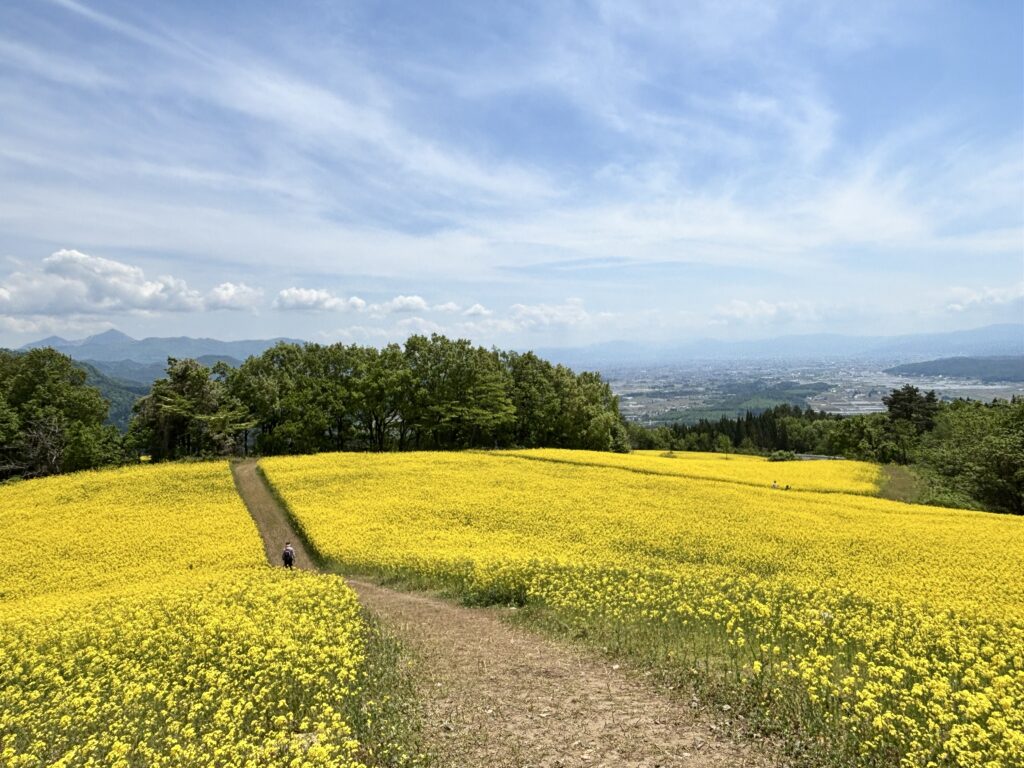 散策路
