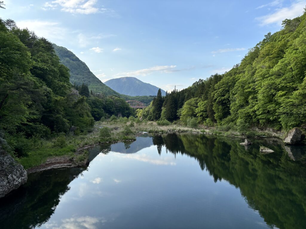 吊り橋から見る景色