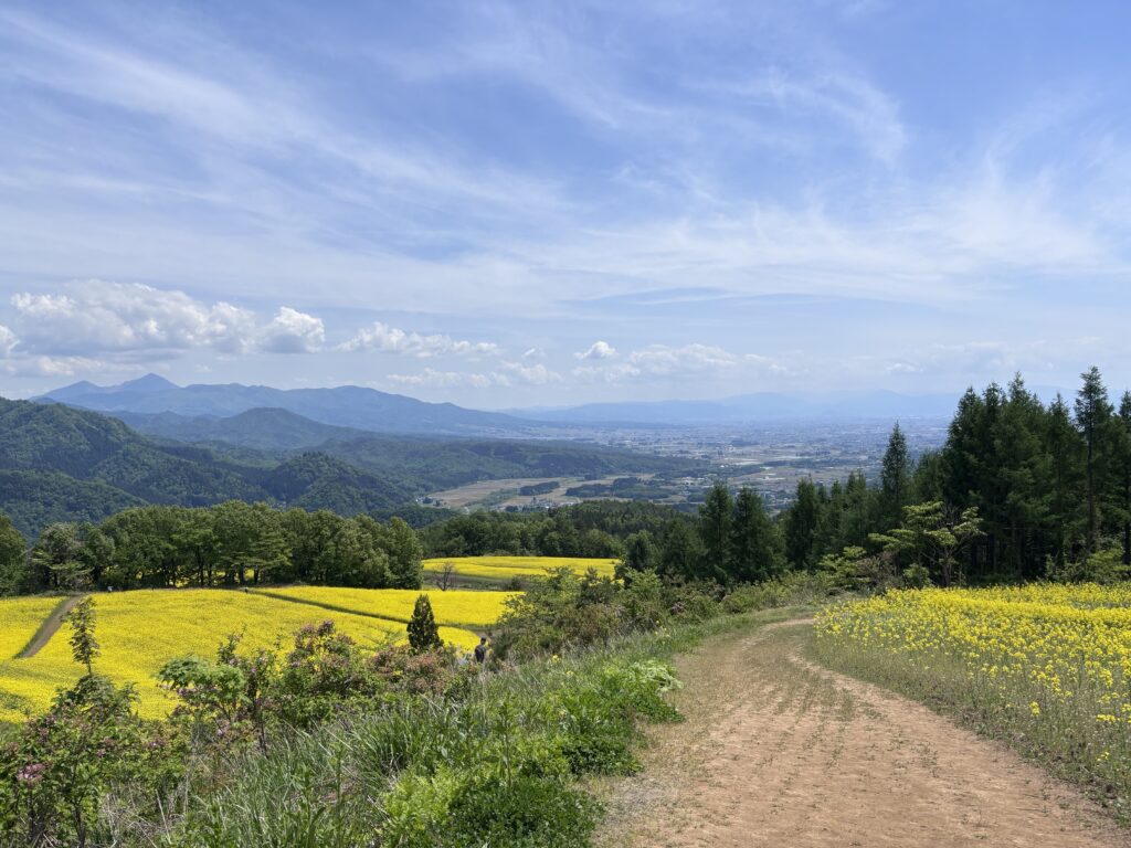 くらら西部から見る景色