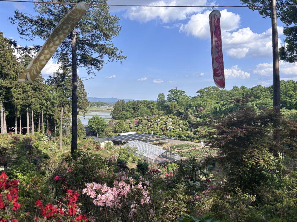 高台から見る景色1