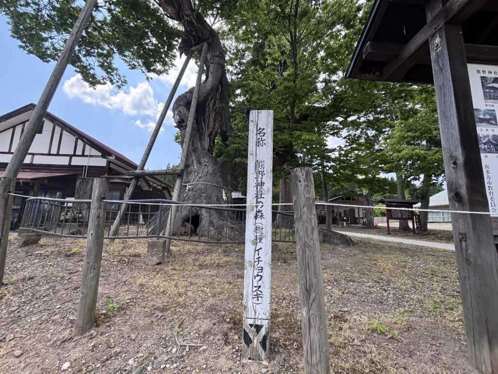 熊野神社の森