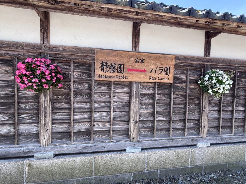 入口の分かれ道