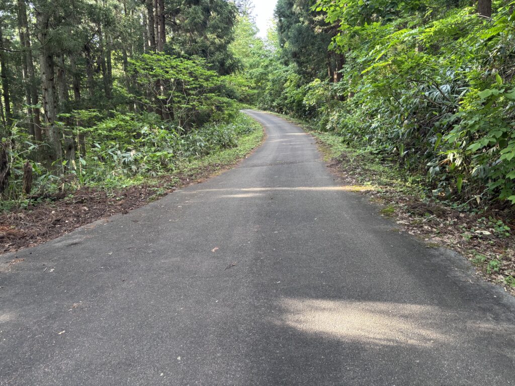 ハイキングコース