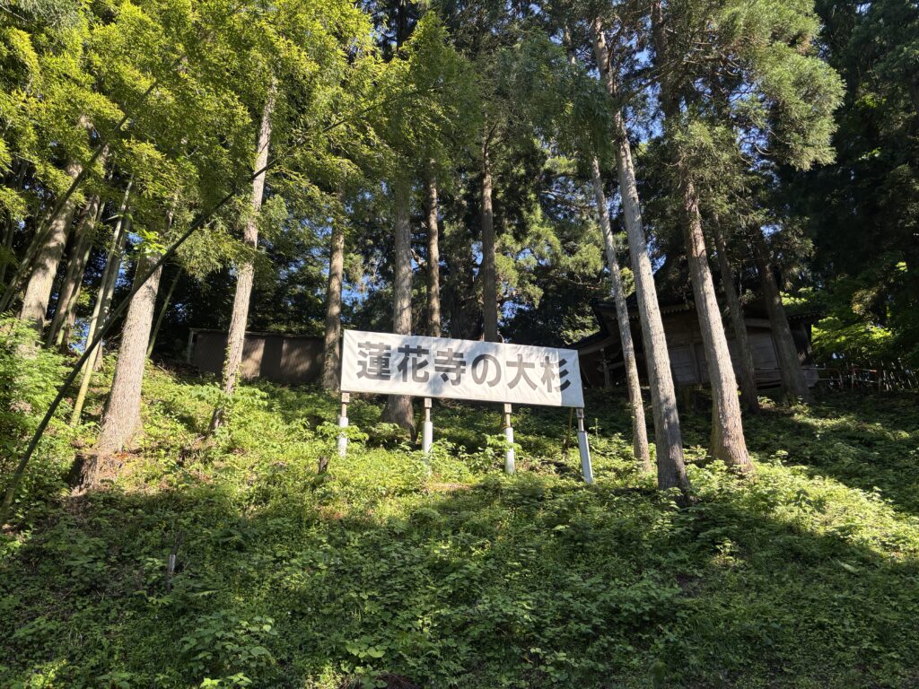 看板