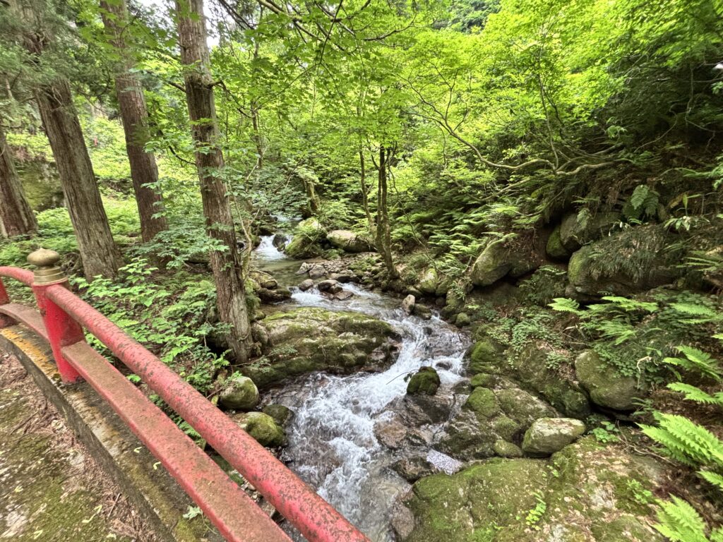御浄橋からの景色