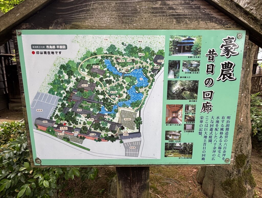 平面図