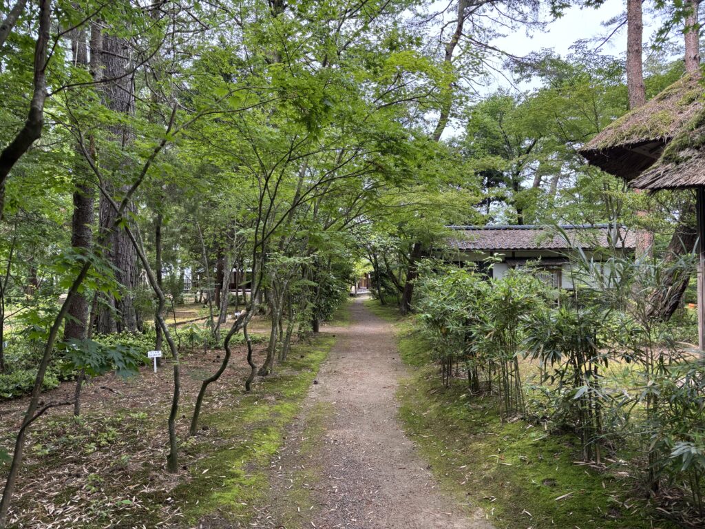 散策路2