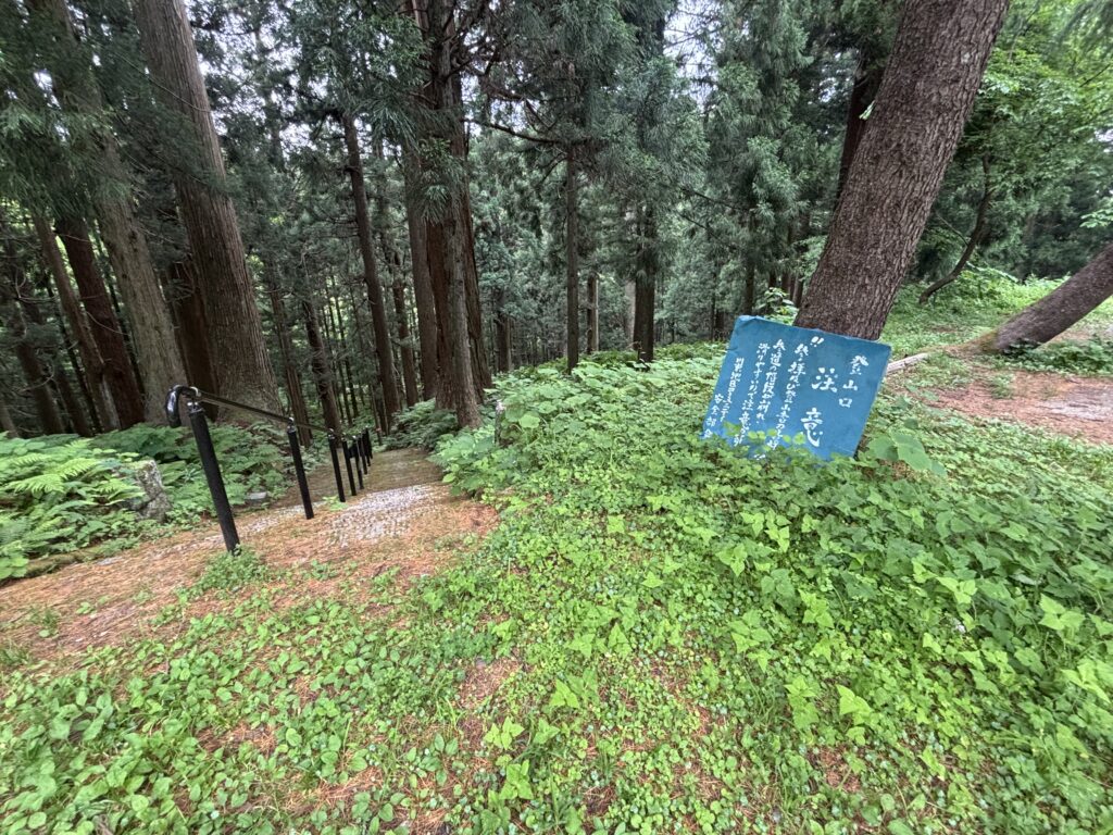 入口