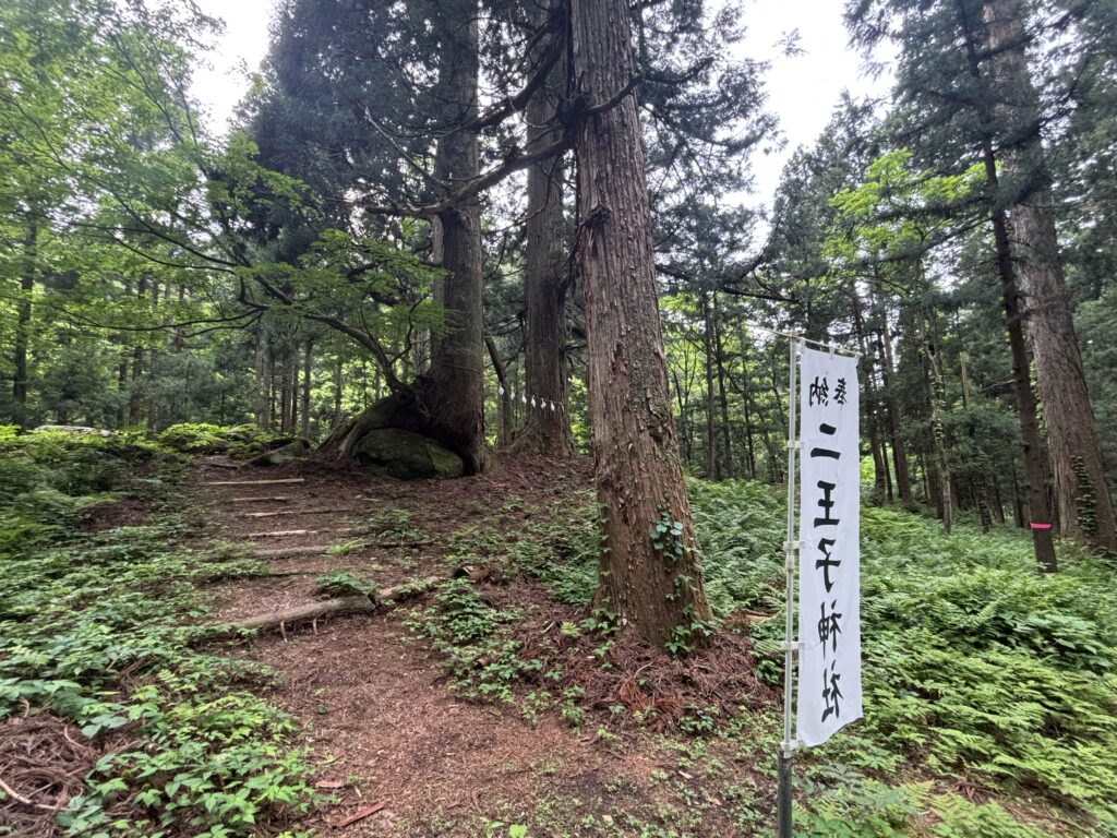 子宝の大杉