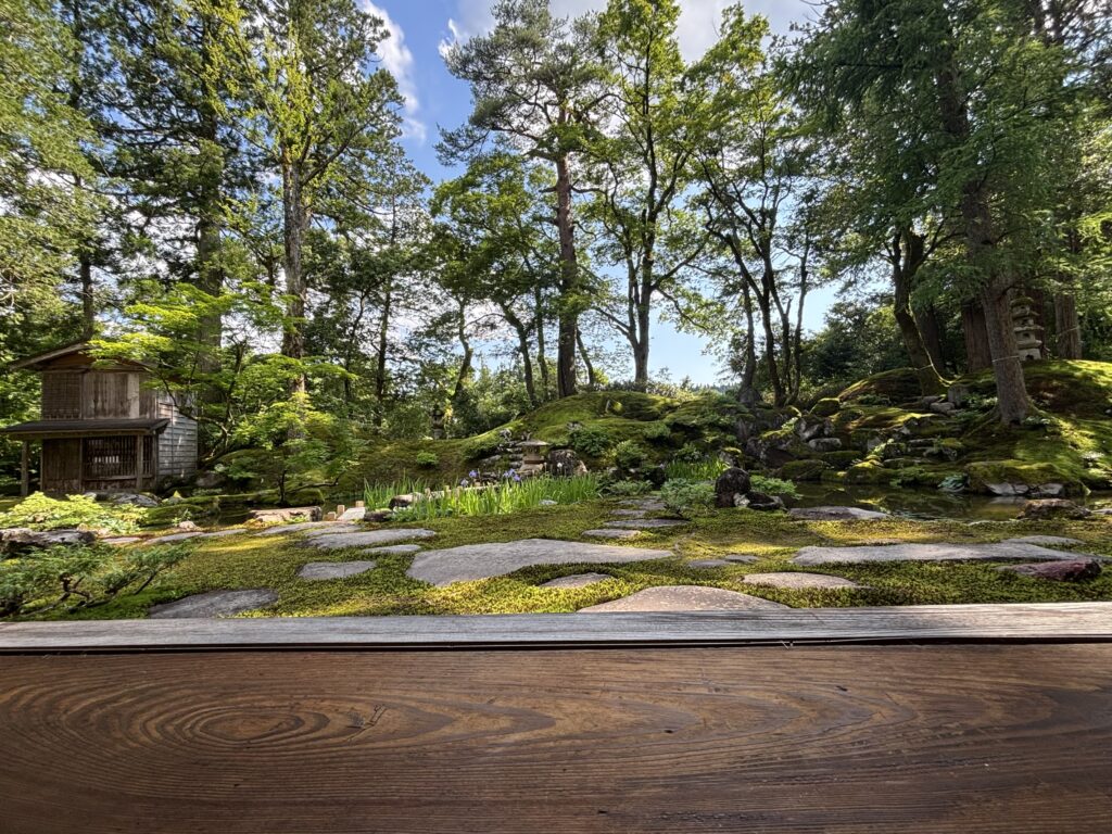 縁側から見る庭園
