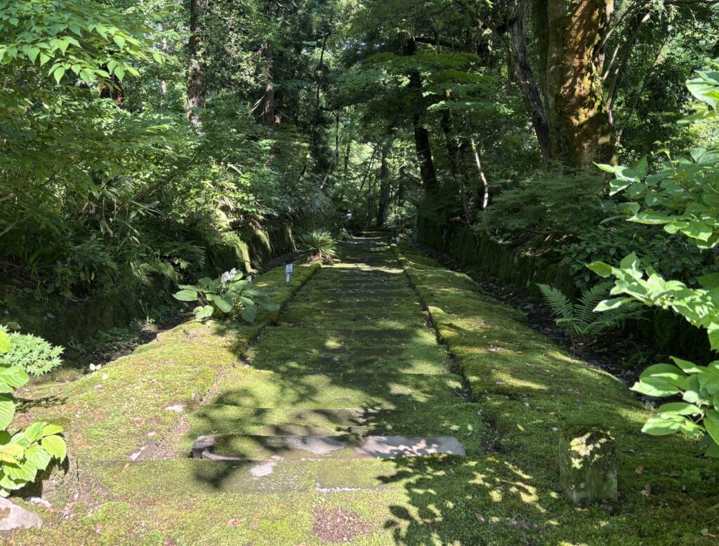 写能阪