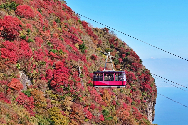 空中散歩で新潟の【絶景】を楽しもう！