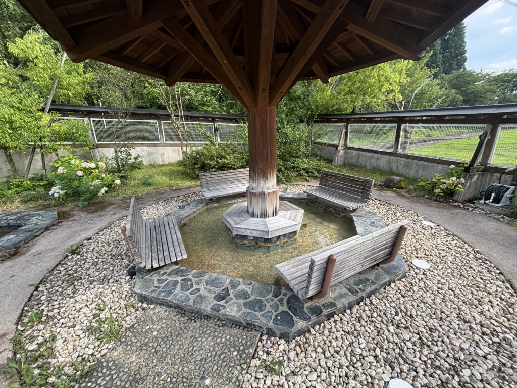 屋外足湯2