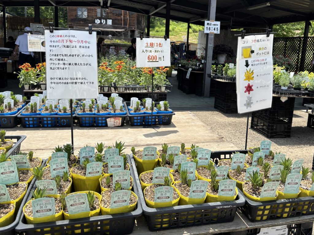 花売店
