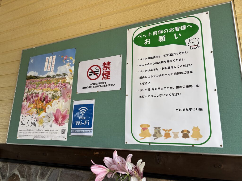 掲示板