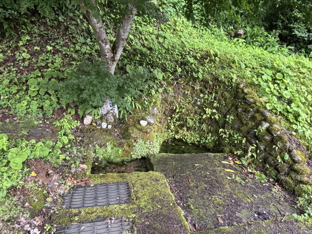 中道清水