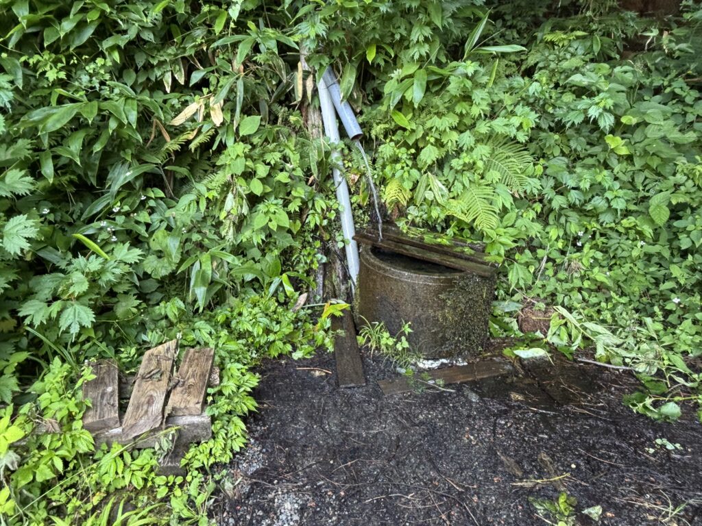 景騰清水