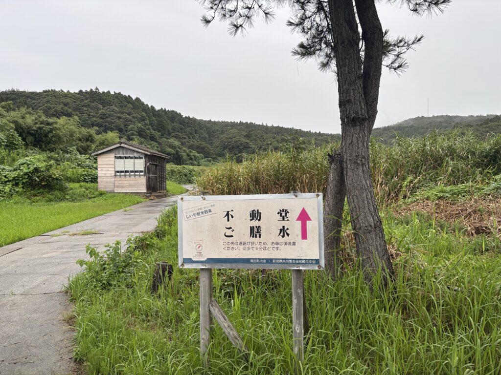 入口