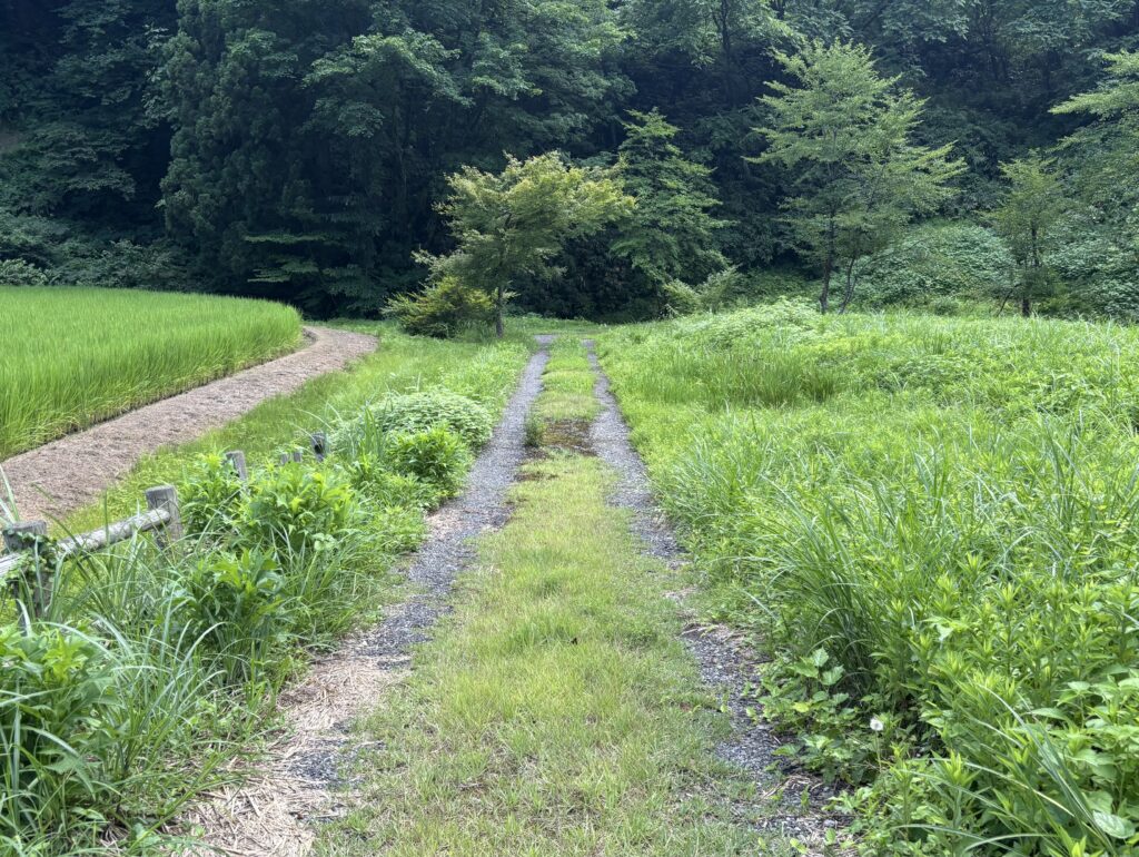 砂利道