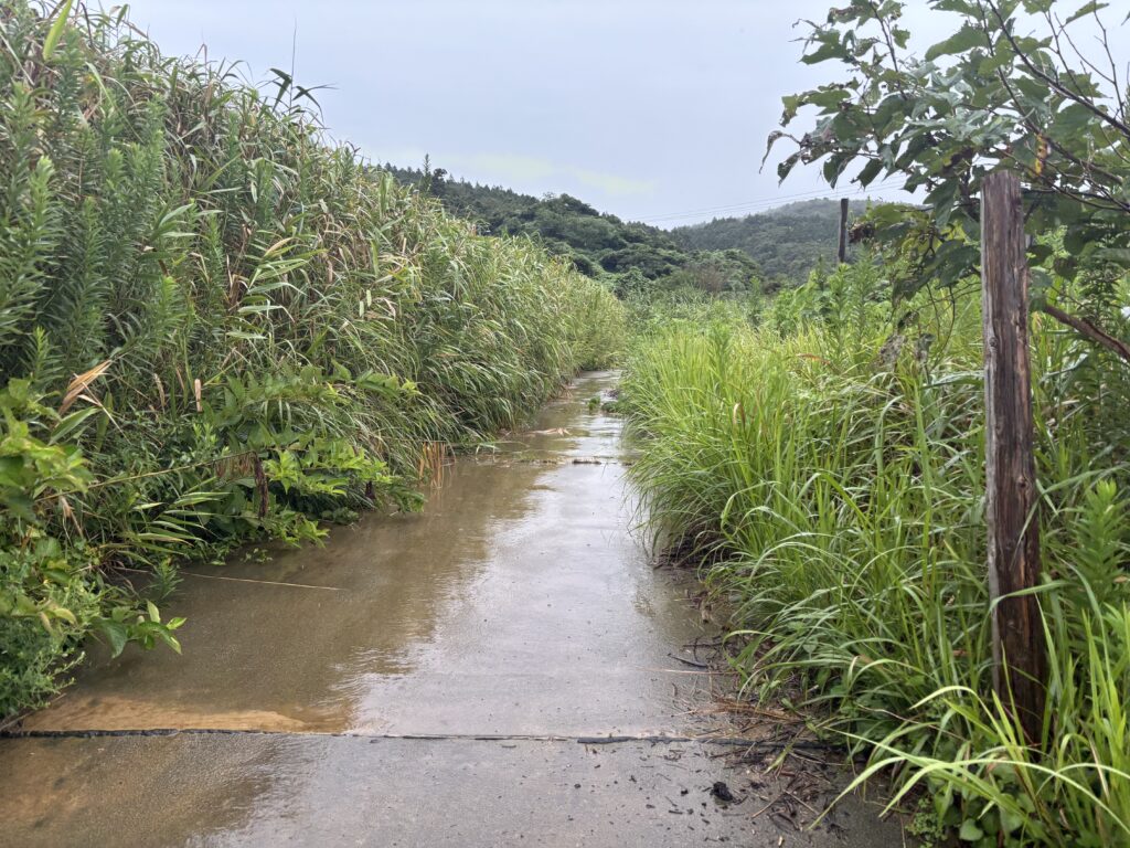 道路２