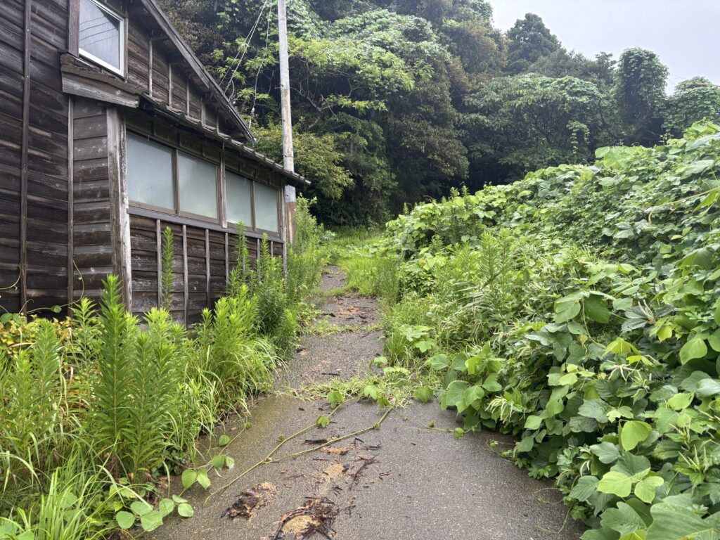 道路３