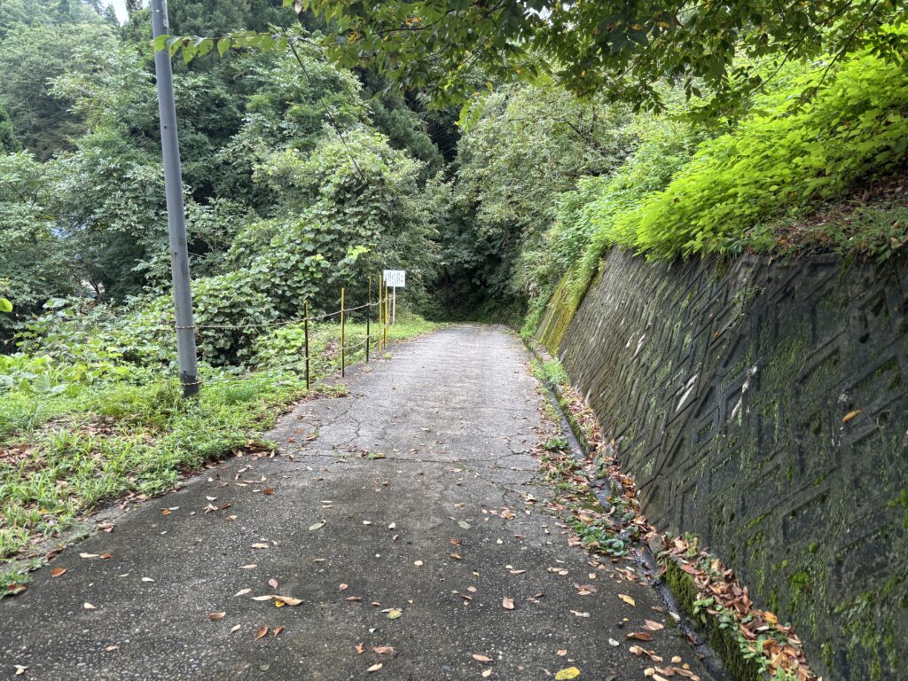参道１