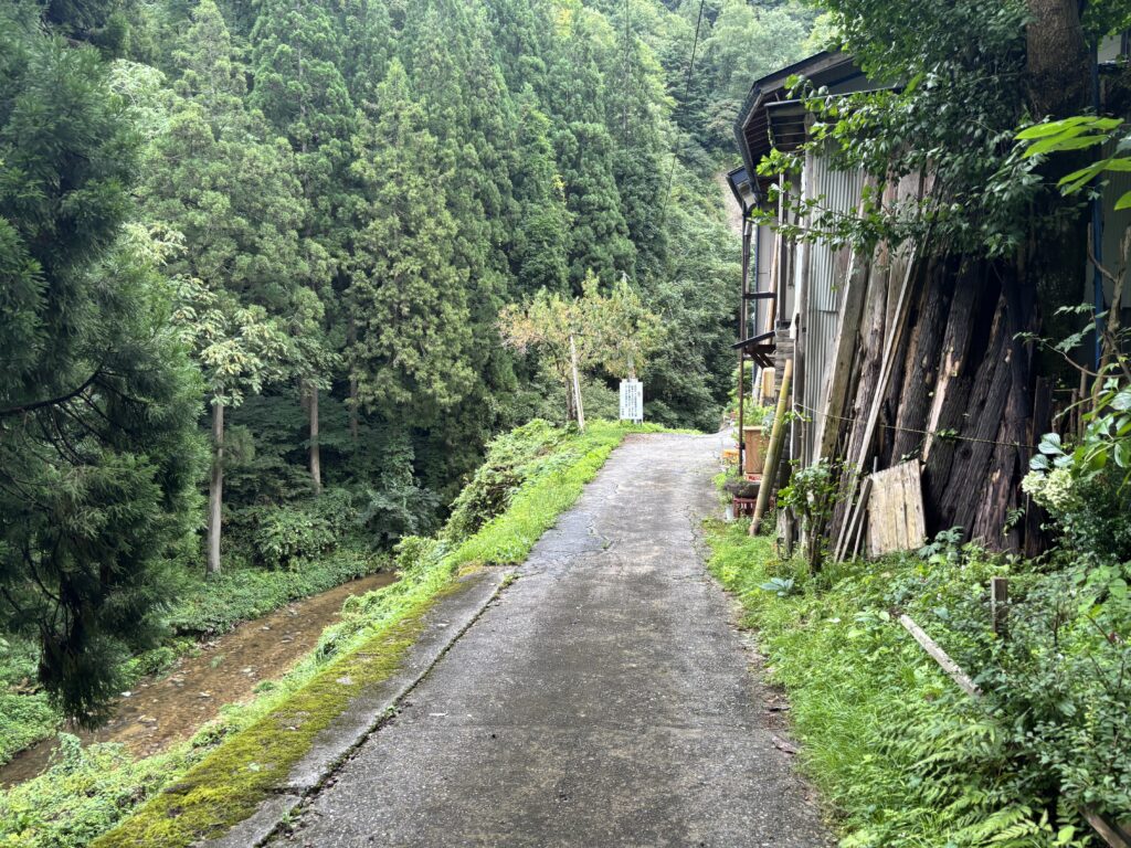 参道２