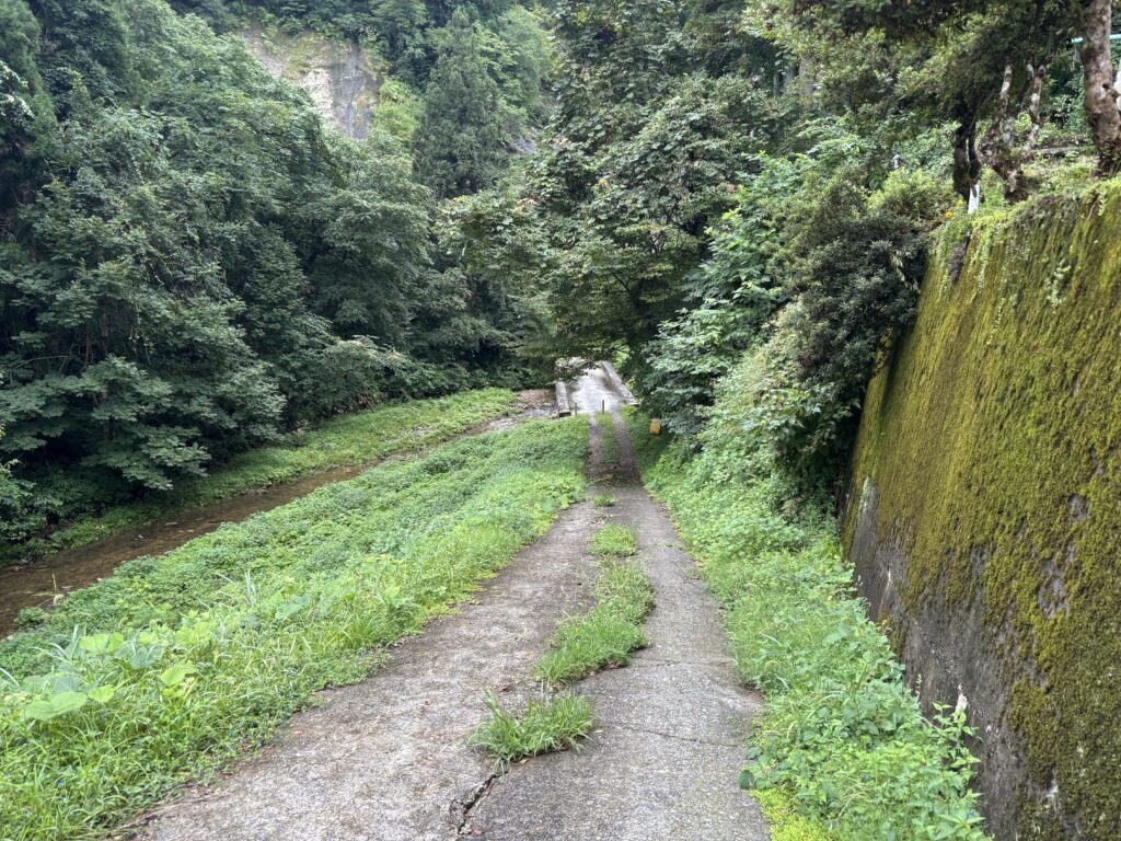 参道３