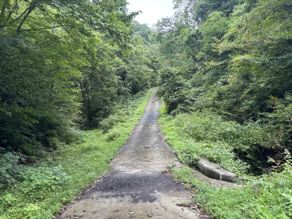 参道１０